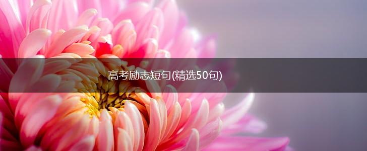 高考励志短句(精选50句),第1张