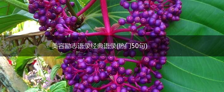 美容励志语录经典语录(热门50句),第1张