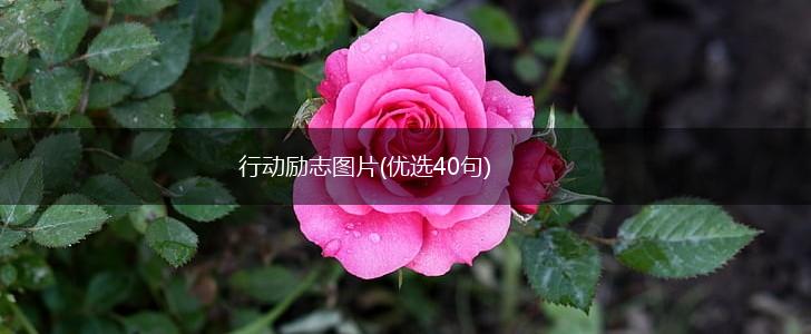 行动励志图片(优选40句),第1张