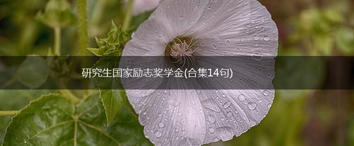 研究生国家励志奖学金(合集14句),第1张 研究生国家励志奖学金(合集14句),第1张