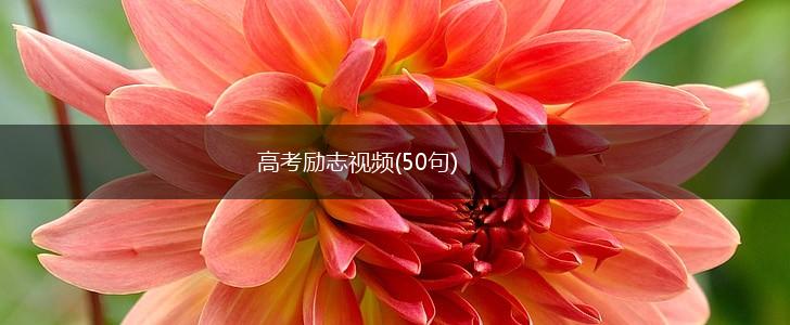 高考励志视频(50句),第1张