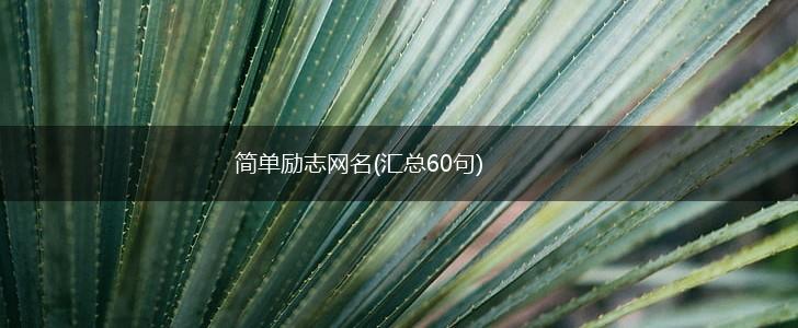 简单励志网名(汇总60句),第1张 简单励志网名(汇总60句),第1张