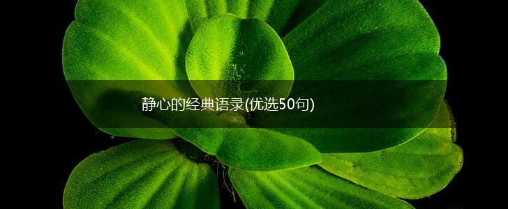 静心的经典语录(优选50句),第1张