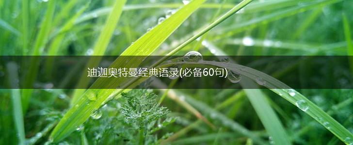 迪迦奥特曼经典语录(必备60句),第1张