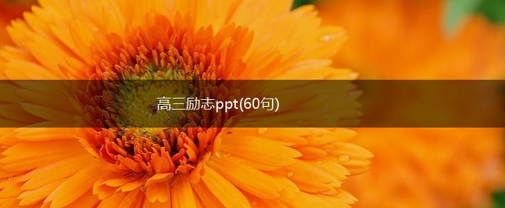 高三励志ppt(60句),第1张