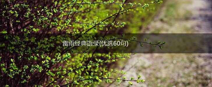 雷雨经典语录(优选60句),第1张