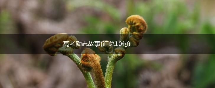 高考励志故事(汇总10句),第1张