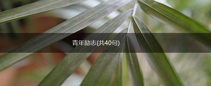 青年励志(共40句),第1张