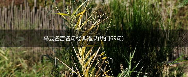 马云名言名句经典语录(热门69句),第1张
