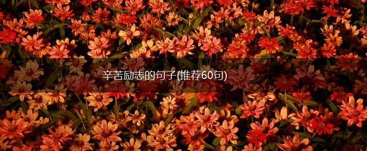 辛苦励志的句子(推荐60句),第1张
