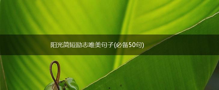 阳光简短励志唯美句子(必备50句),第1张
