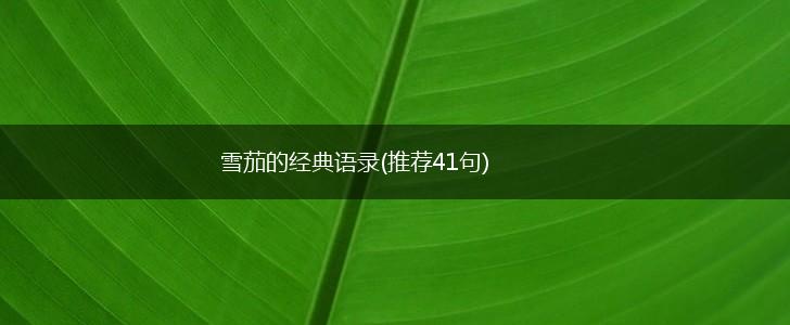 雪茄的经典语录(推荐41句),第1张