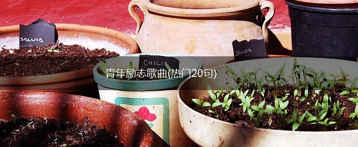 青年励志歌曲(热门20句),第1张