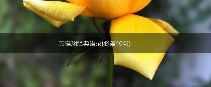 黄健翔经典语录(必备40句),第1张