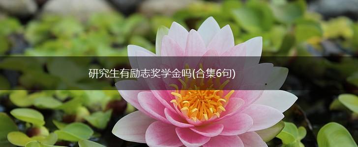研究生有励志奖学金吗(合集6句),第1张