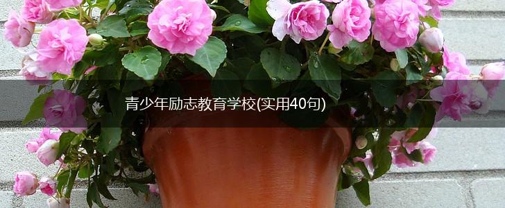 青少年励志教育学校(实用40句),第1张