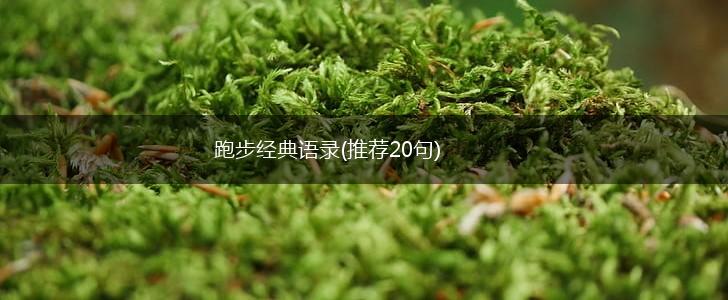 跑步经典语录(推荐20句),第1张 跑步经典语录(推荐20句),第1张