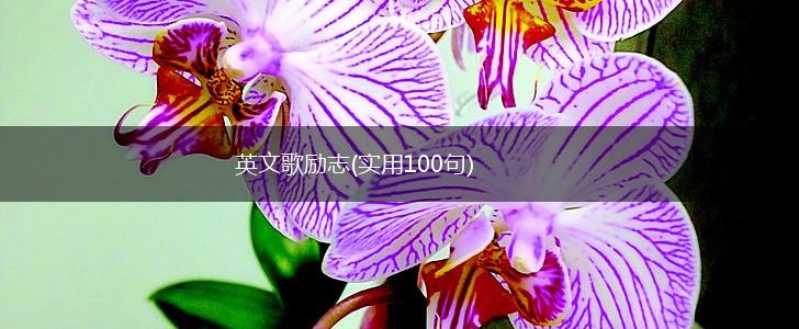 英文歌励志(实用100句),第1张