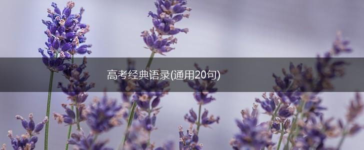 高考经典语录(通用20句),第1张