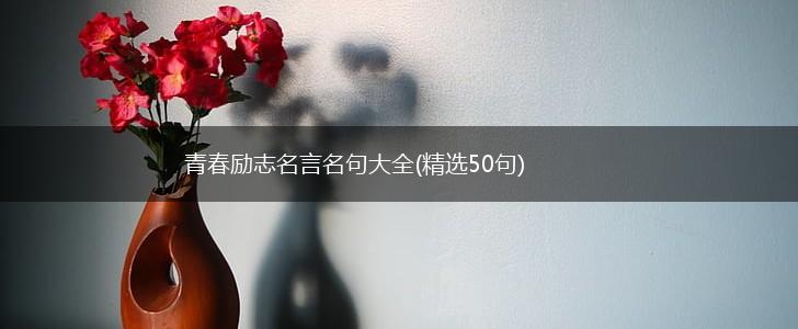 青春励志名言名句大全(精选50句),第1张