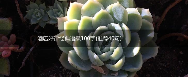 酒店好评经典语录100字(推荐40句),第1张