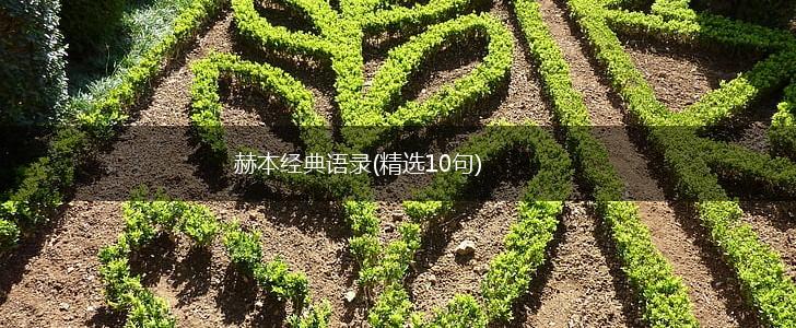 赫本经典语录(精选10句),第1张