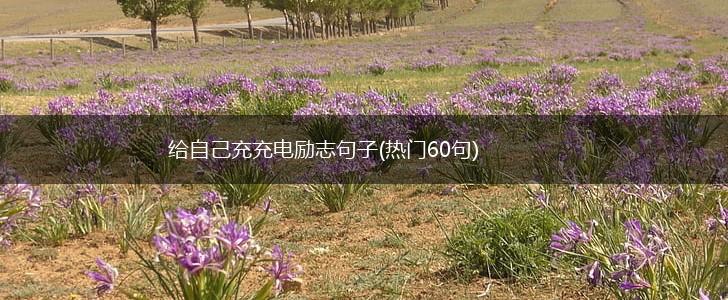给自己充充电励志句子(热门60句),第1张