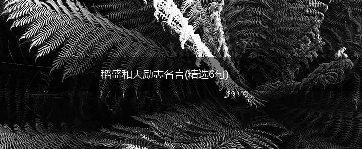 稻盛和夫励志名言(精选6句),第1张 稻盛和夫励志名言(精选6句),第1张