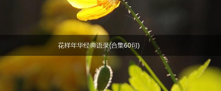 花样年华经典语录(合集60句),第1张