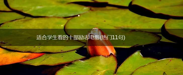 适合学生看的十部励志电影(热门11句),第1张