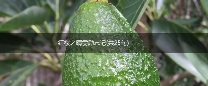 红楼之晴雯励志记(共25句),第1张 红楼之晴雯励志记(共25句),第1张