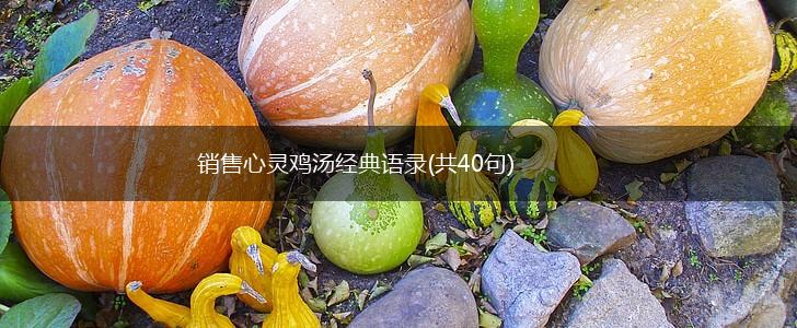 销售心灵鸡汤经典语录(共40句),第1张