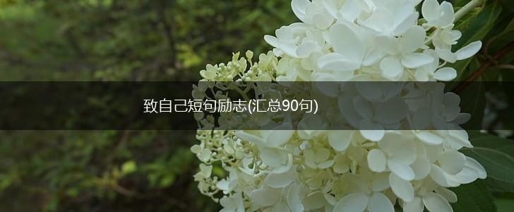 致自己短句励志(汇总90句),第1张 致自己短句励志(汇总90句),第1张