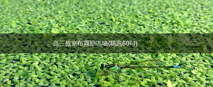 高三教室布置励志墙(精选60句),第1张