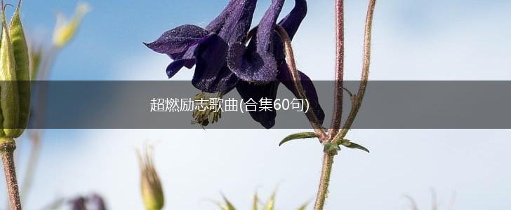 超燃励志歌曲(合集60句),第1张