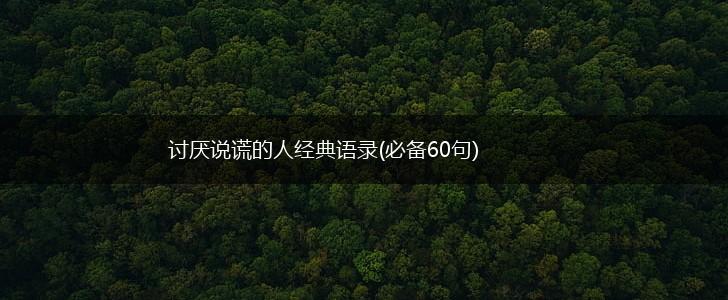 讨厌说谎的人经典语录(必备60句),第1张