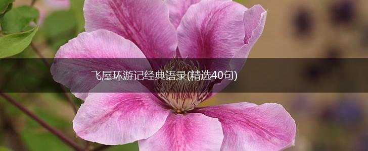 飞屋环游记经典语录(精选40句),第1张