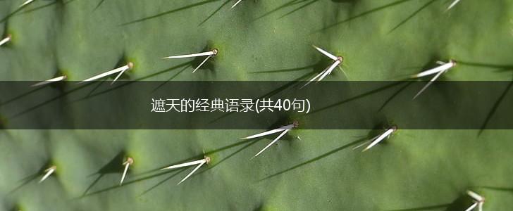 遮天的经典语录(共40句),第1张