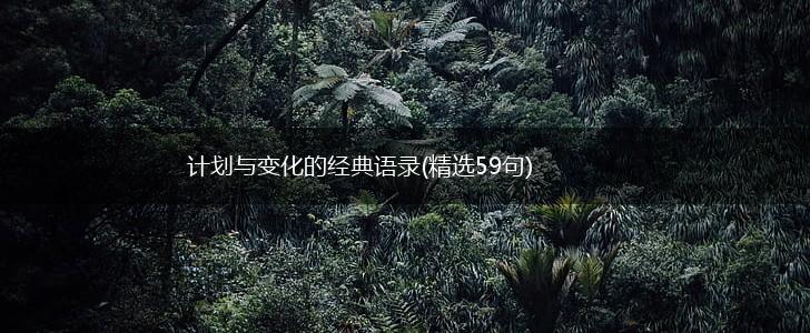 计划与变化的经典语录(精选59句),第1张