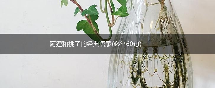 阿狸和桃子的经典语录(必备60句),第1张