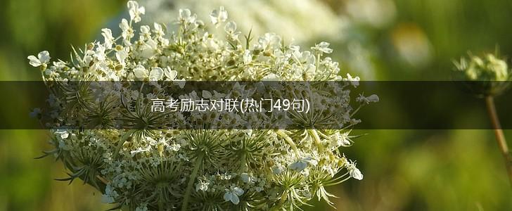 高考励志对联(热门49句),第1张