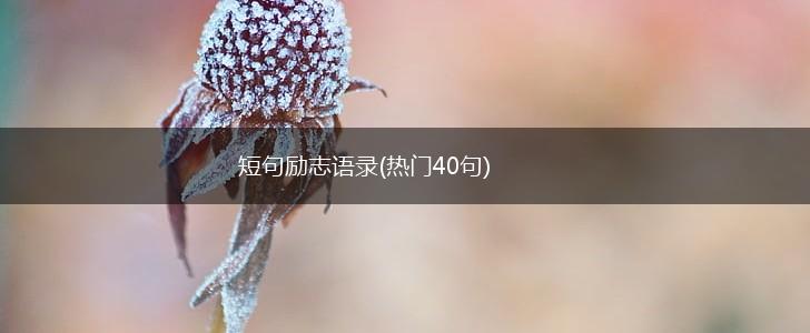 短句励志语录(热门40句),第1张