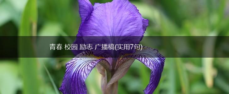 青春 校园 励志 广播稿(实用7句),第1张