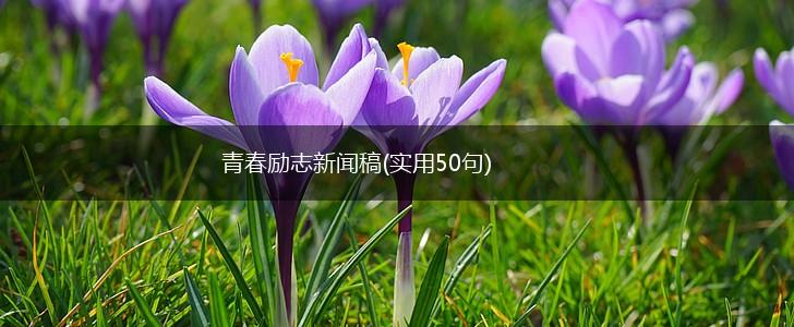 青春励志新闻稿(实用50句),第1张