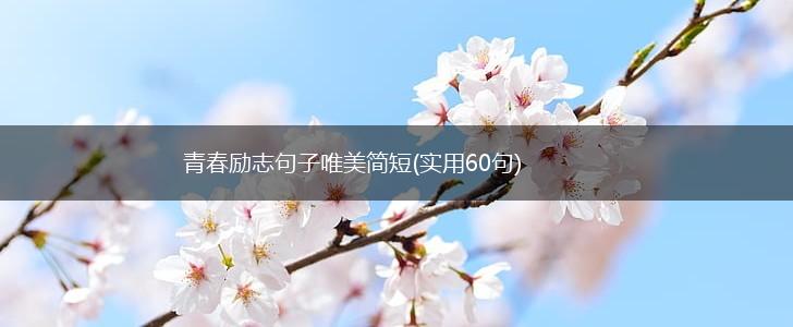 青春励志句子唯美简短(实用60句),第1张