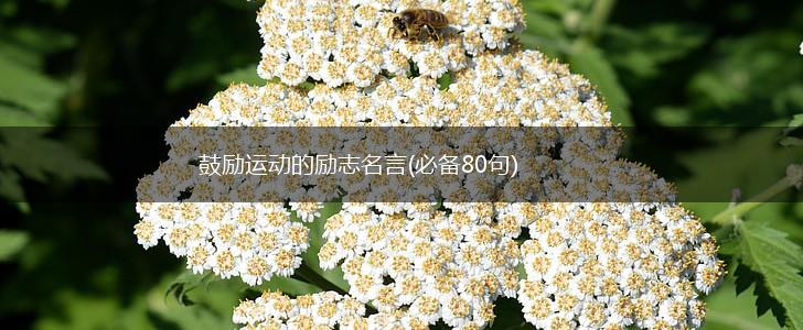 鼓励运动的励志名言(必备80句),第1张