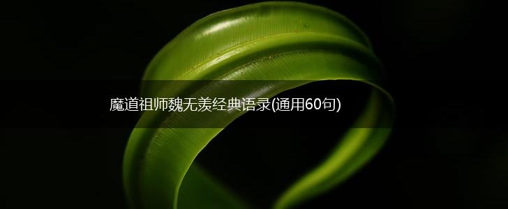 魔道祖师魏无羡经典语录(通用60句),第1张