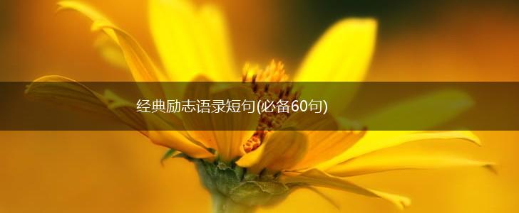 经典励志语录短句(必备60句),第1张 经典励志语录短句(必备60句),第1张