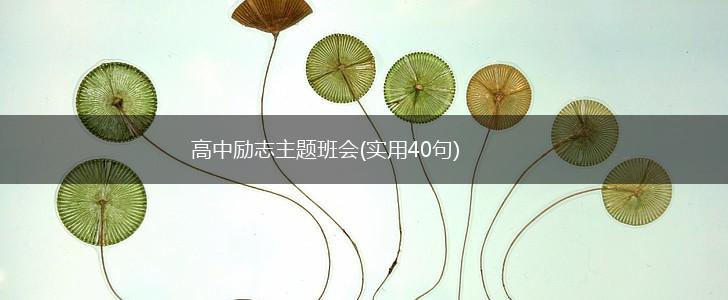 高中励志主题班会(实用40句),第1张