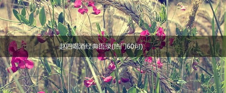 赵四喝酒经典语录(热门60句),第1张